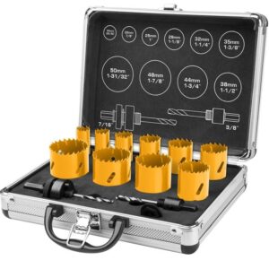 SET SEGA A TAZZA BIMETAL 12PZ PER METALLI